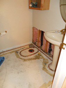 bathroom mold