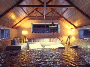 water damage cleanup beaver ut, water damage beaver ut