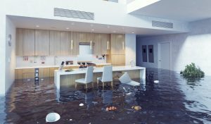 water damage st. george, water damage restoration st. george, water damage repair st. george